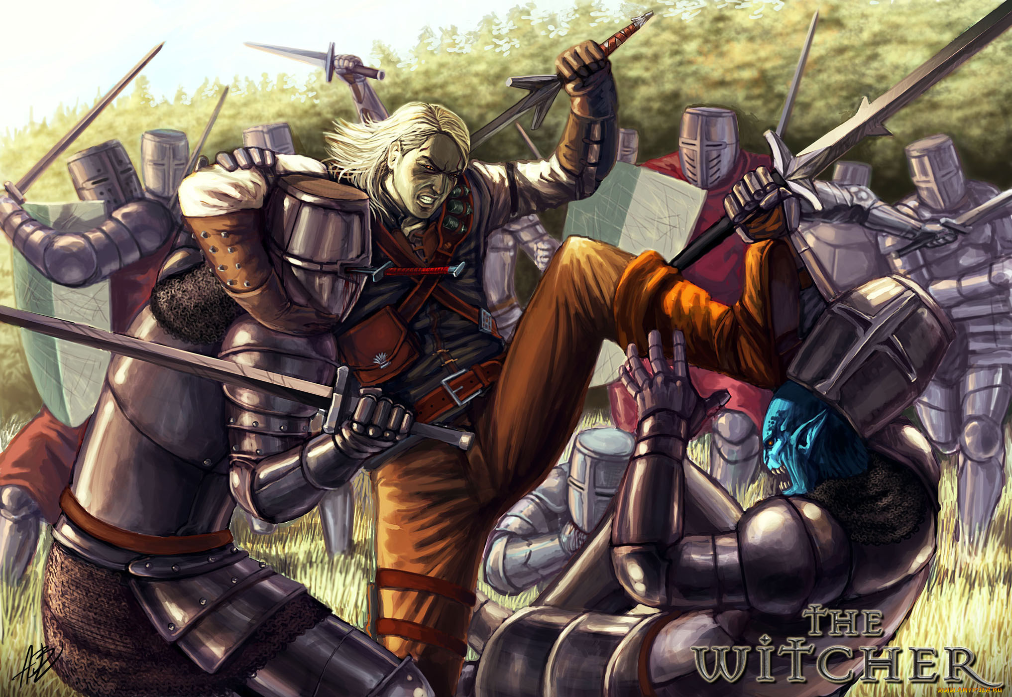 the, witcher, , 